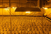 Why the Mars Hydro TS 1000 Doesn't Actually Draw 1000 Watts