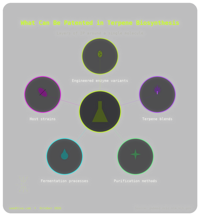 Who Owns Linalool Biosynthesis? The Terpene Patent Map