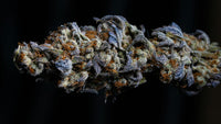 Strains That Actually Deliver High Terpenes