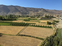 Inside Lesotho's Cannabis Export Push to Europe