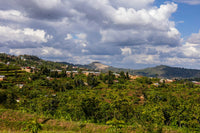 Lesotho's New Cannabis Rules Expose a GACP Compliance Gap