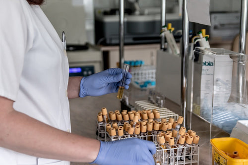Heavy Metals in Cannabis: Why Labs Test Soil and Inputs