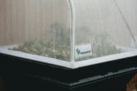 Germinating Seeds in a Grow Box: A Step-by-Step Setup