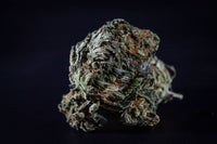 Trichomes and Concentrate Quality: What Actually Matters