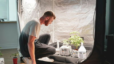 DIY Mylar vs Panda Film: Real PAR Readings in a Closet Grow