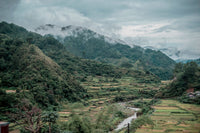 Philippines' Hemp Ban Collides With Highland Farming in Ifugao, Nueva Vizcaya