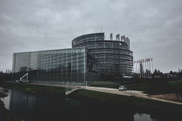 Europe's Cannabis Opinion Shift: A Decade of Changing Minds
