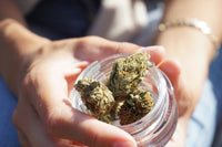 Millions on Probation Still Can't Legally Use Medical Marijuana