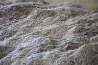 Hemp Batteries: Real Chemistry, Slow-Moving Commerce