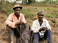 Malawi's Hemp Law vs. Its Chamba Tradition: A Collision in Progress