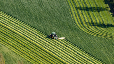 How Global Hemp Trade Could Reshape Farm Economies