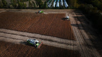 Federal Hemp Rules Could Wipe Out 225,000 Jobs, Report Warns