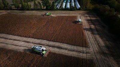 Federal Hemp Rules Could Wipe Out 225,000 Jobs, Report Warns