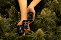 France's CBD Flower Ban Reversal: What Changed on Retail Shelves