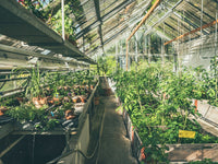 Why LED Driver Shortages Could Slow Indoor Cannabis Cost Curves