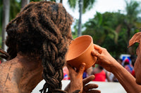 Vanuatu's Cannabis Law Meets the Chiefs: Kava's Shadow Over a New Industry