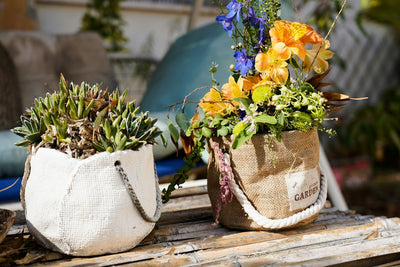 Stopping Root-Bound Stress in 200-Gallon Fabric Pots Season After Season