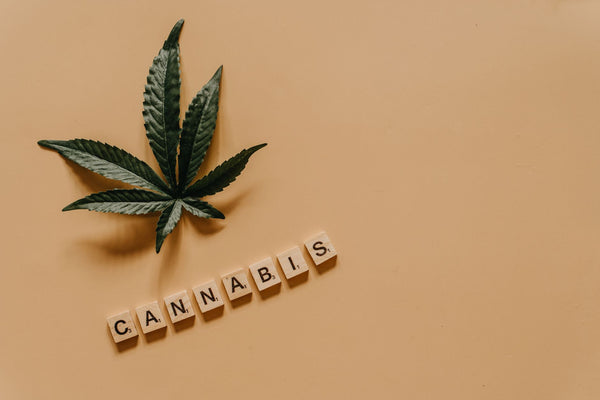 Federal Judge Questions Marijuana-Gun Ban, Cites Legalization
