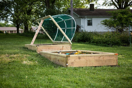 Best Raised Bed Sizes for Giant Outdoor Cannabis Plants