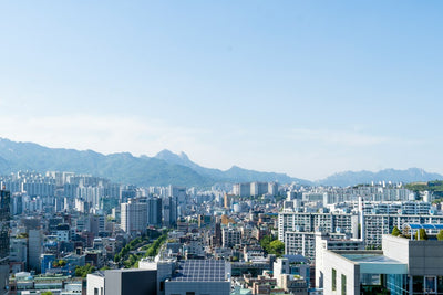 Inside South Korea's Tight Cannabis Laws and Narrow CBD Exceptions
