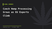 Czech Hemp Processing Grows as EU Exports Climb