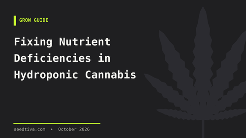 Fixing Nutrient Deficiencies in Hydroponic Cannabis