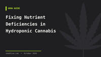 Fixing Nutrient Deficiencies in Hydroponic Cannabis