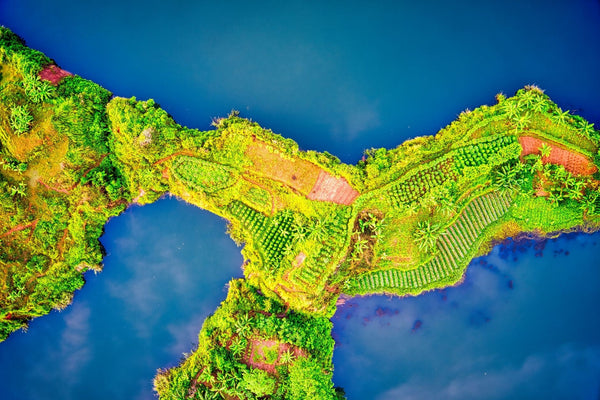 Vanuatu's Cannabis Bet: Licenses Issued, Banks Still Say No