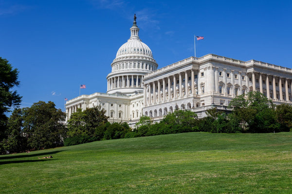 Senate Democrats Reintroduce Federal Cannabis Legalization Bill