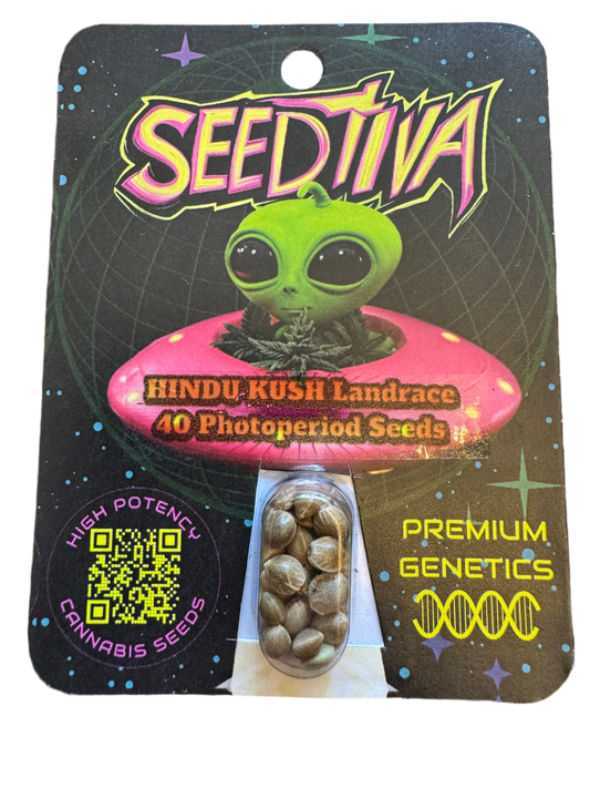 Wholesale 10 Packs Landrace Cannabis Seeds (40 seeds per pack) Anti-theft Packaging with Seed Display Bubble
