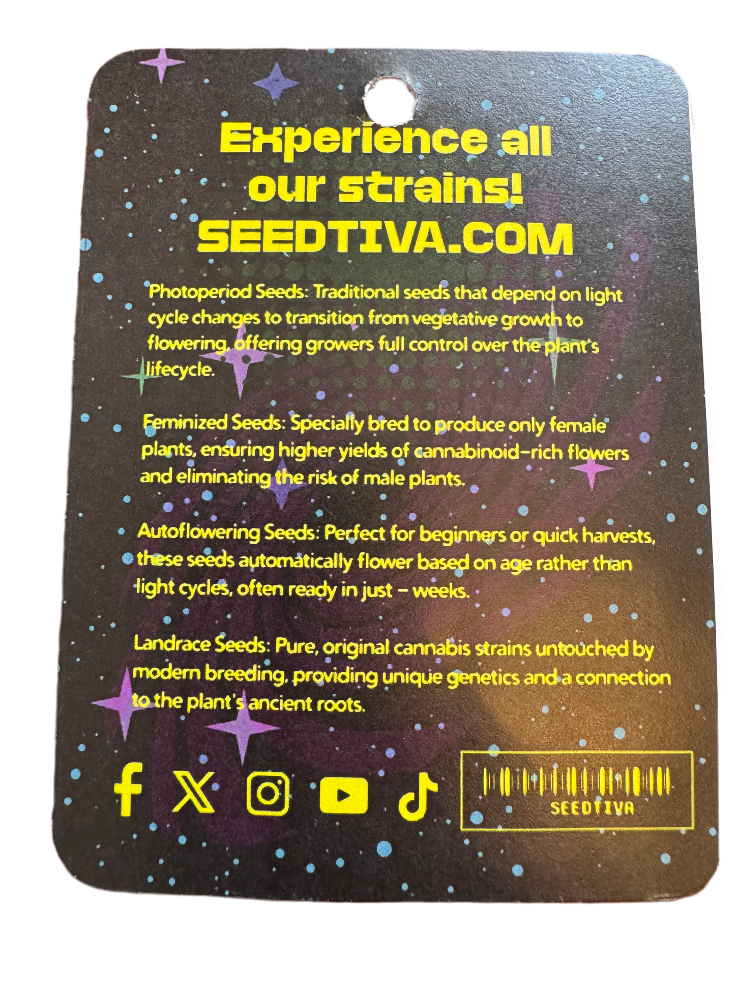 Wholesale 10 Packs Landrace Cannabis Seeds (40 seeds per pack) Anti-theft Packaging with Seed Display Bubble