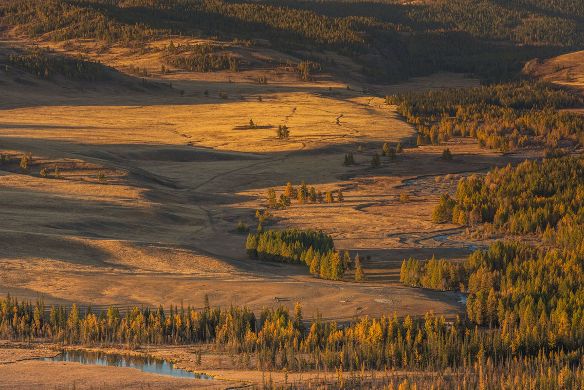 Majestic autumn views of Altai Mountains with golden forests and scenic rivers.