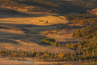 Where Does Cannabis Grow Naturally? Origins Explained