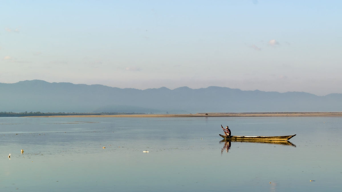 Before the British: How Cannabis Lived in Assam's Ahom-Era World