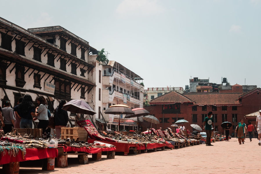 Nepal's Charas Economy Meets a Half-Century-Old Ban