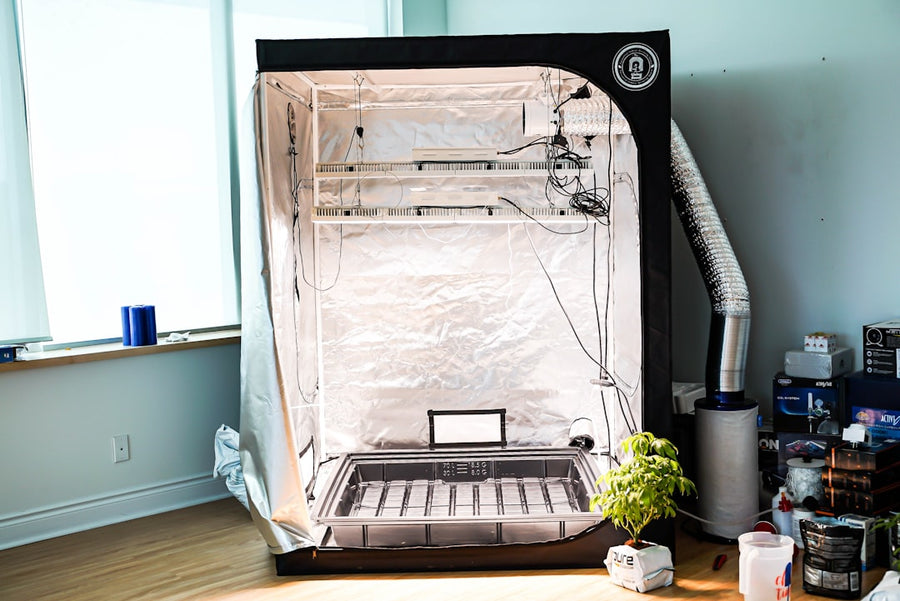 Choosing LED Grow Light Bulbs for a Small Closet Grow