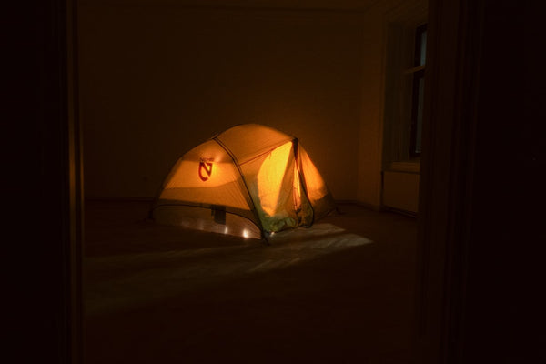 Choosing the Right LED Grow Light for a Small Cannabis Tent