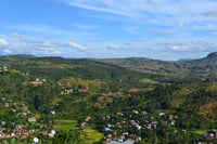 Rongony and the Highland Taboo: Madagascar's Cannabis Divide