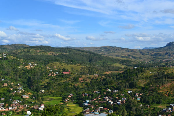 Rongony and the Highland Taboo: Madagascar's Cannabis Divide