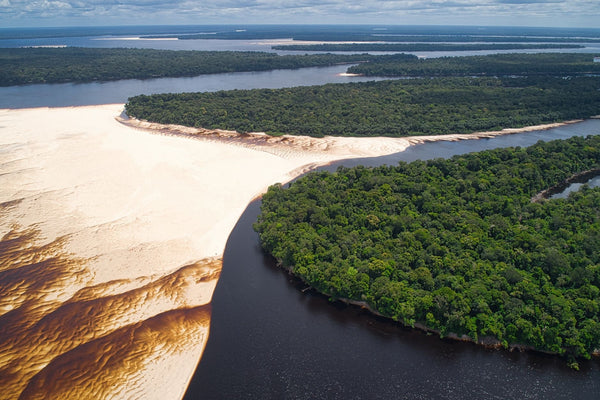 Peru's Amazon: Coca's Grip and Hemp's Unproven Promise