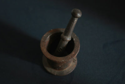 Cannabis in South Asian Medicine: From the Vedas to Delhi's Courts