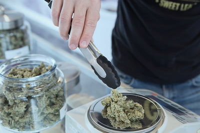 Who Owns Your Cannabis Data? The Broker Race Heats Up
