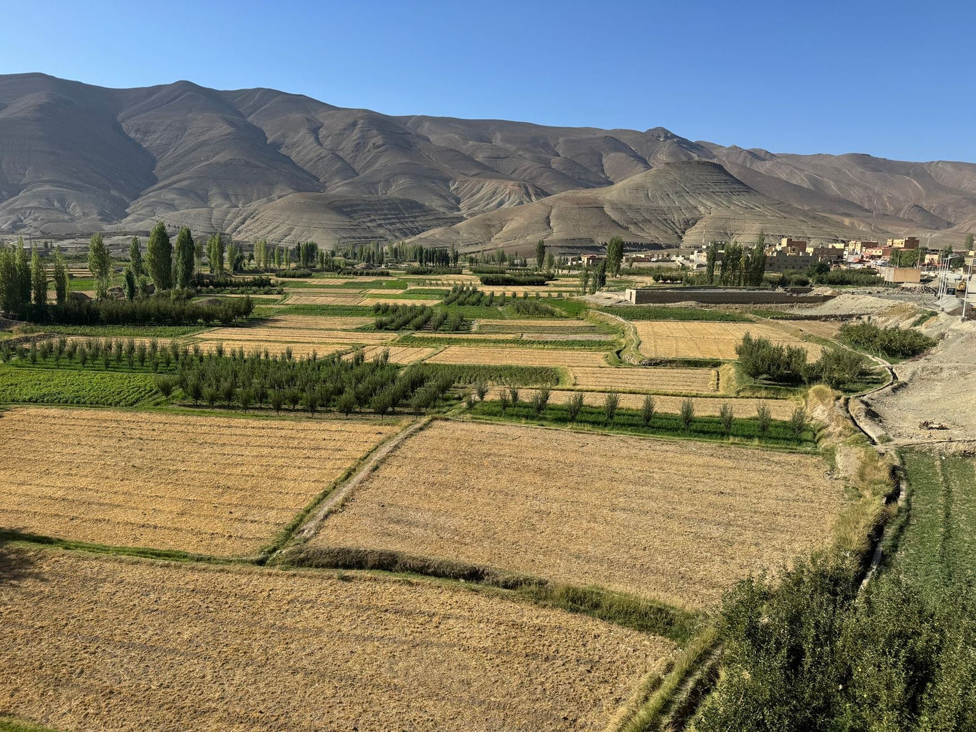 Inside Lesotho's Cannabis Export Push to Europe