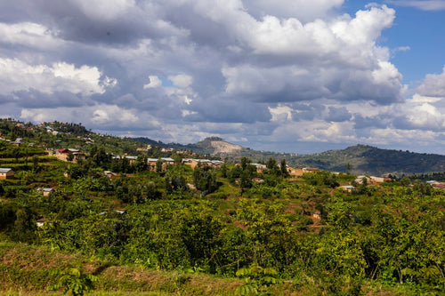 Lesotho's New Cannabis Rules Expose a GACP Compliance Gap