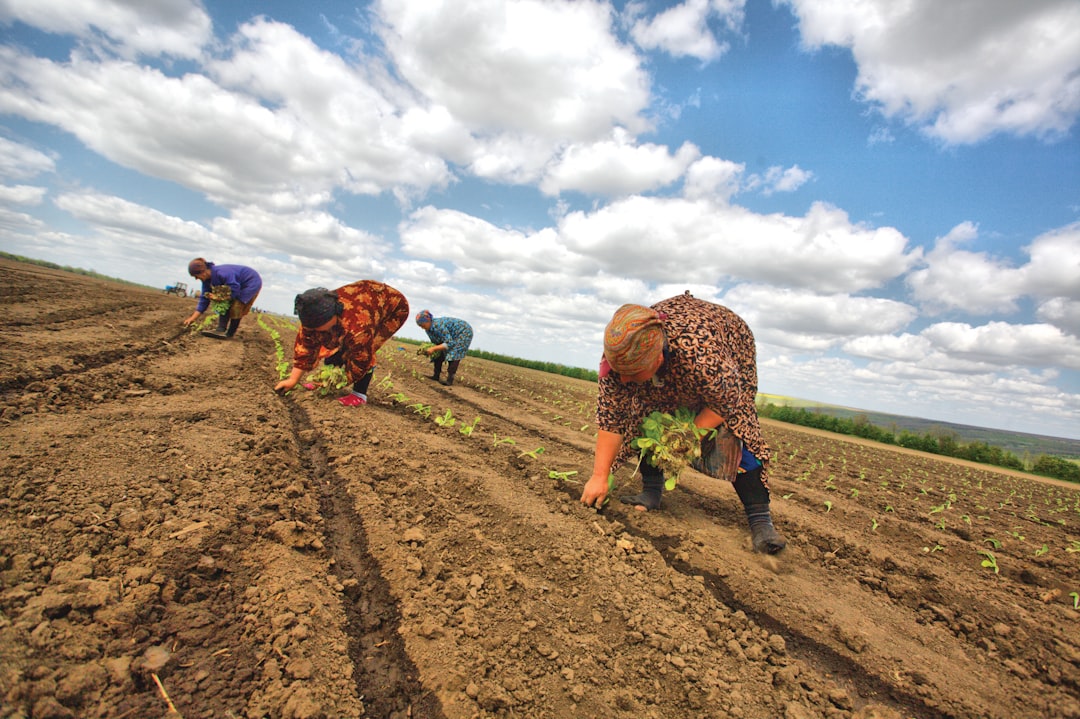 Study: Marijuana Legalization Boosts State Agriculture Jobs by 9%