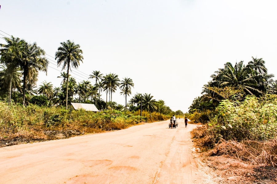 Nigeria's Cannabis Paradox: Crackdowns Meet Export Talk