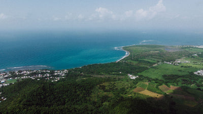 Caribbean vs. Central American Cannabis Culture: A Tale of Two Regions
