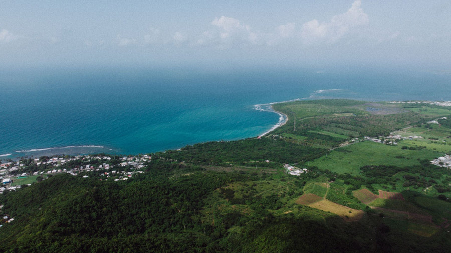 Caribbean vs. Central American Cannabis Culture: A Tale of Two Regions