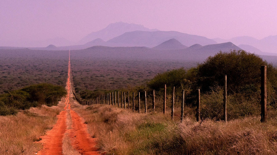 Eswatini's Stalled Cannabis Bill: Formalizing a Colonial-Era Ban