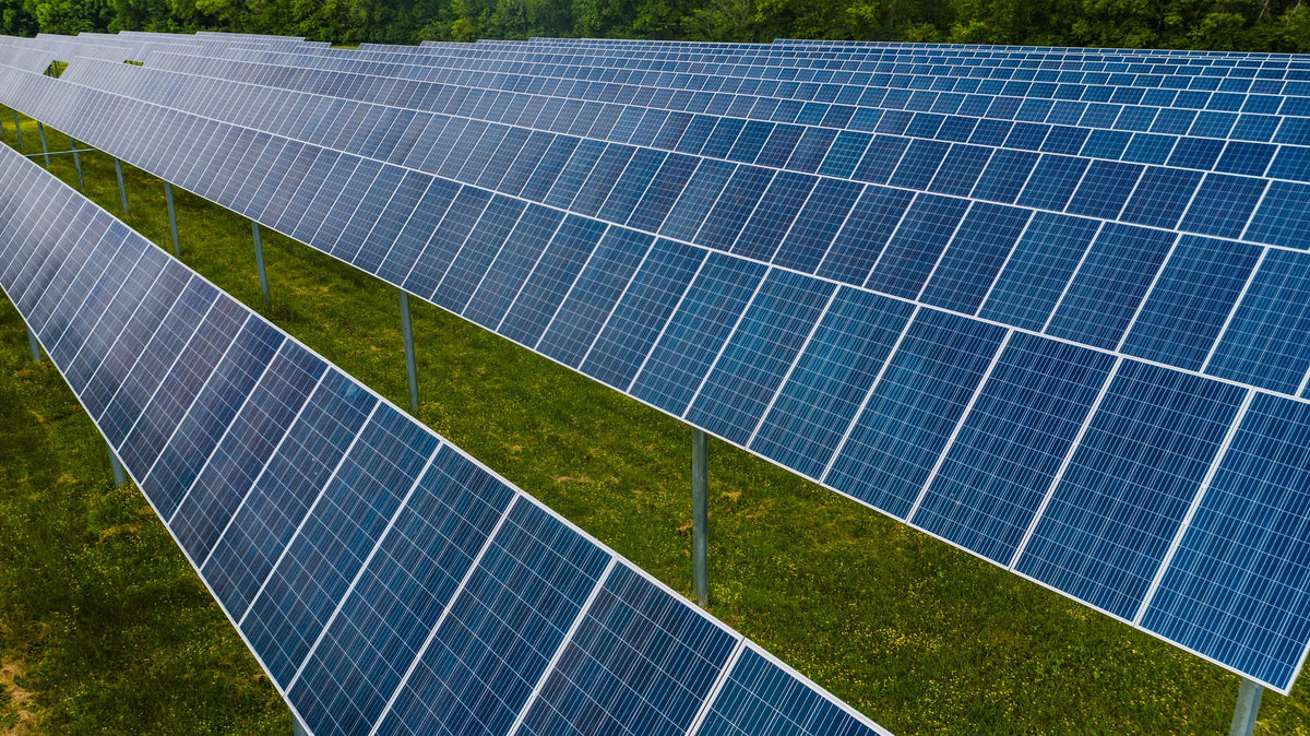 Acapulco Gold's Landrace Toughness Meets Off-Grid Solar Grows